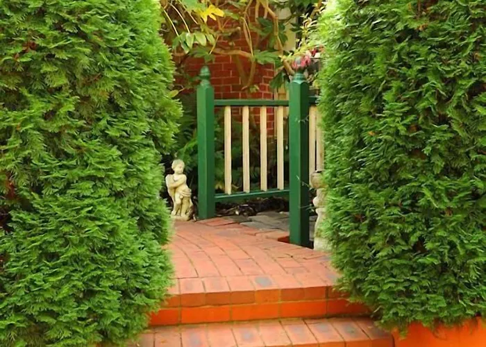 Mary Cards Coach House Bed & Breakfast Olinda